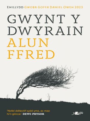 cover image of Gwynt y Dwyrain